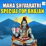 Maha Shivaratri Special Top Bhajan - Shailendra Jain Song Download
